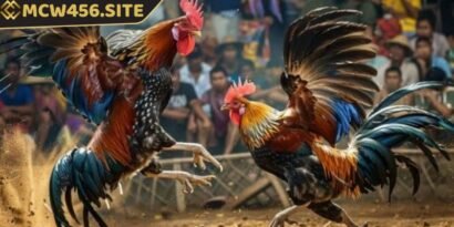 Các kèo cá cược đá gà là yếu tố quan trọng giúp bạn đưa ra chiến lược hiệu quả