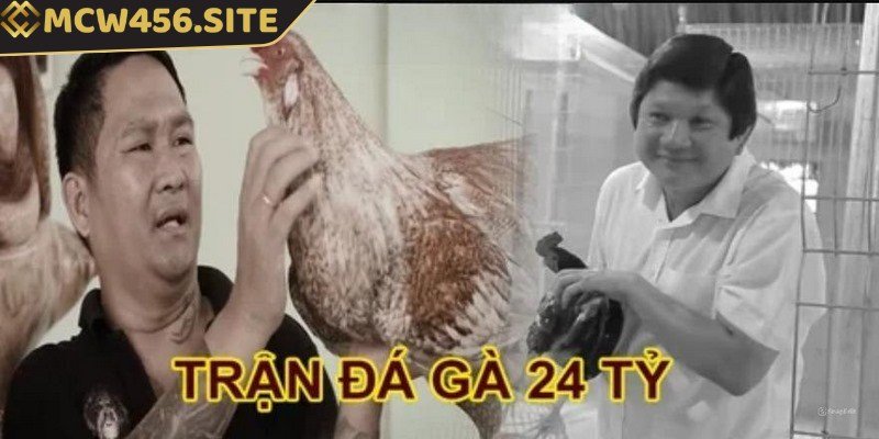 Trận đá gà 24 tỷ - Trận chiến kịch tính có một không hai 3 Phúc Barca hay Phúc Bình Dương là cái tên quen thuộc trong cộng đồng đá gà